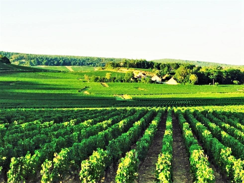 Bed and Breakfast Domaine Pont Juillet Fontaines  Экстерьер фото